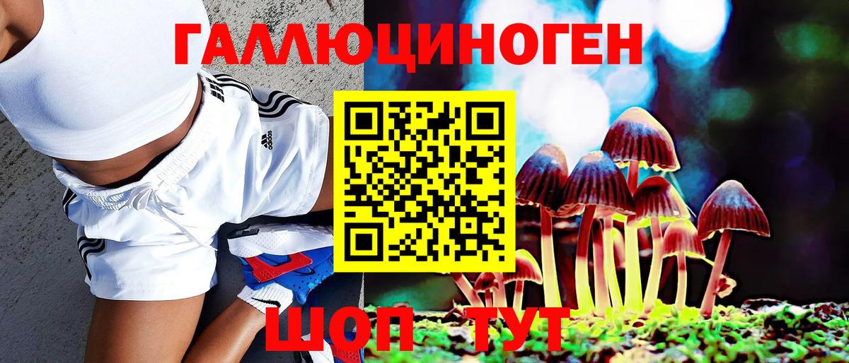 Псилоцибиновые грибы Magic Shrooms Сочи